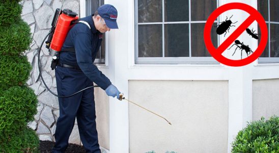 Balatçık Böcek ve Haşere İlaçlama böcek ilaçlama ve haşere kontrolü — ilaclama-tr.com